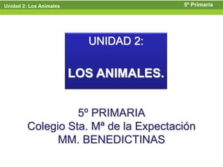 Unidad 2: Los Animales                   5º Primaria




                           UNIDAD 2:

                         LOS ANIMALES.


                   5º PRIMARIA
         Colegio Sta. Mª de la Expectación
               MM. BENEDICTINAS
 
