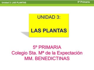 Unidad 3: LAS PLANTAS                 5º Primaria




                         UNIDAD 3:

                        LAS PLANTAS


                  5º PRIMARIA
        Colegio Sta. Mª de la Expectación
              MM. BENEDICTINAS
 