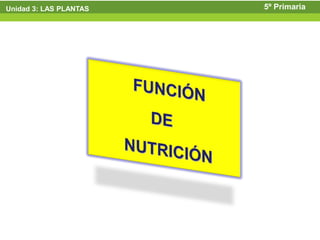 Unidad 3: LAS PLANTAS   5º Primaria
 