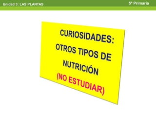 Unidad 3: LAS PLANTAS   5º Primaria
 