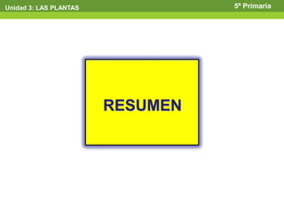 Unidad 3: LAS PLANTAS             5º Primaria




                        RESUMEN
 