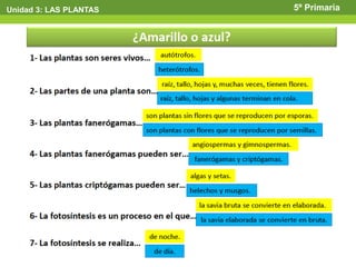 Unidad 3: LAS PLANTAS   5º Primaria
 