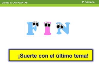 Unidad 3: LAS PLANTAS                5º Primaria




             ¡Suerte con el último tema!
 