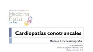 Modulo 5. Ecocardiografía
Dra. Eugenia Antolín
Sección de Ecografía y Medicina Fetal
Madrid, noviembre 2018
Cardiopatías conotruncales
 