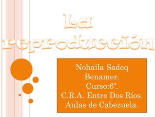 Nohaila Sadeq
      Benamer.
       Curso:6º.
C.R.A. Entre Dos Ríos.
 Aulas de Cabezuela.
 