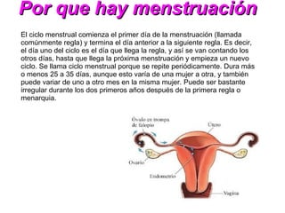 Por que hay menstruación
El ciclo menstrual comienza el primer día de la menstruación (llamada
comúnmente regla) y termina el día anterior a la siguiente regla. Es decir,
el día uno del ciclo es el día que llega la regla, y así se van contando los
otros días, hasta que llega la próxima menstruación y empieza un nuevo
ciclo. Se llama ciclo menstrual porque se repite periódicamente. Dura más
o menos 25 a 35 días, aunque esto varía de una mujer a otra, y también
puede variar de uno a otro mes en la misma mujer. Puede ser bastante
irregular durante los dos primeros años después de la primera regla o
menarquia.
 