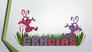 Conozcamos el ecosistema