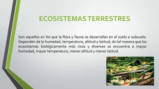ECOSISTEMAS TERRESTRES
Son aquellos en los que la flora y fauna se desarrollan en el suelo o subsuelo.
Dependen de la humedad, temperatura, altitud y latitud, de tal manera que los
ecosistemas biológicamente más ricos y diversos se encuentra a mayor
humedad, mayor temperatura, menor altitud y menor latitud.

 