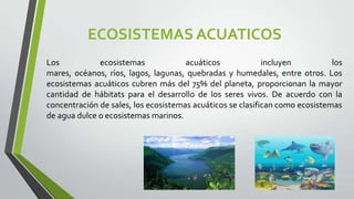 ECOSISTEMAS ACUATICOS
Los
ecosistemas
acuáticos
incluyen
los
mares, océanos, ríos, lagos, lagunas, quebradas y humedales, entre otros. Los
ecosistemas acuáticos cubren más del 75% del planeta, proporcionan la mayor
cantidad de hábitats para el desarrollo de los seres vivos. De acuerdo con la
concentración de sales, los ecosistemas acuáticos se clasifican como ecosistemas
de agua dulce o ecosistemas marinos.

 