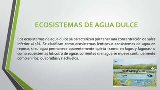 ECOSISTEMAS DE AGUA DULCE
Los ecosistemas de agua dulce se caracterizan por tener una concentración de sales
inferior al 1%. Se clasifican como ecosistemas lénticos o ecosistemas de agua en
reposo, si su agua permanece aparentemente quieta –como en lagos y lagunas- o
como ecosistemas lóticos o de aguas corrientes si el agua se mueve continuamente
como en ríos, quebradas y riachuelos.

 