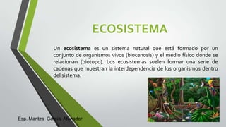 ECOSISTEMA
Un ecosistema es un sistema natural que está formado por un
conjunto de organismos vivos (biocenosis) y el medio físico donde se
relacionan (biotopo). Los ecosistemas suelen formar una serie de
cadenas que muestran la interdependencia de los organismos dentro
del sistema.

Esp. Maritza García Afanador

 