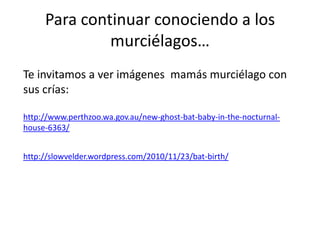 Para continuar conociendo a los
              murciélagos…
Te invitamos a ver imágenes mamás murciélago con
sus crías:

http://www.perthzoo.wa.gov.au/new-ghost-bat-baby-in-the-nocturnal-
house-6363/


http://slowvelder.wordpress.com/2010/11/23/bat-birth/
 