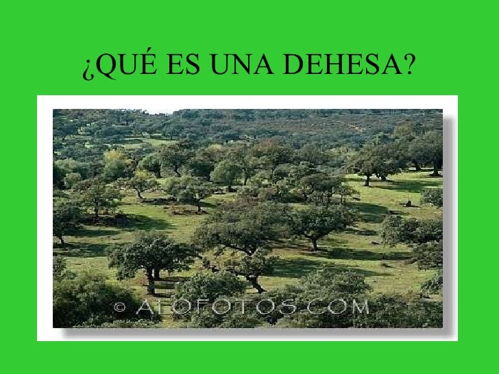 Conozcamos La Dehesa.