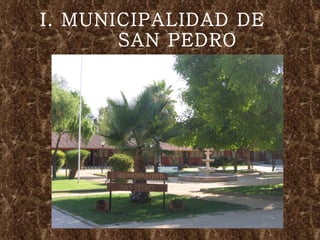 I. MUNICIPALIDAD DE  SAN PEDRO 