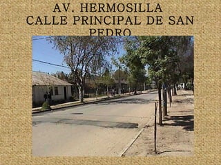 AV. HERMOSILLA  CALLE PRINCIPAL DE SAN PEDRO 