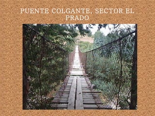 PUENTE COLGANTE, SECTOR EL PRADO 