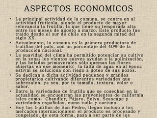 ASPECTOS ECONOMICOS La principal actividad de la comuna, se centra en al actividad frutícola, siendo el producto de mayor relevancia la frutilla, la que tiene su temporada alta entre los meses de agosto a marzo. Este producto fue traído desde el sur de chile en la segunda mitad del siglo XX. Actualmente, la comuna es la primera productora de frutillas del país, con un porcentaje del 40% de la producción nacional. La suavidad del clima ha permitido potenciar su cultivo en la zona; los vientos suaves ayudan a la polinización, y las heladas primaverales sólo queman las flores abiertas en ese momento;  la falta de agua en al época estival se soluciona con riego a goteo de sus pozos. Se dedican a dicha actividad pequeños y grandes propietarios cultivando diferentes variedades que sobresalen, ya sea, por tu tamaño, textura, color o sabor. Entre la variedades de frutilla que se cosechan en la actualidad se encuentran las provenientes de california tales como:  Chandler, Pájaro, Selva, Seascape y variedades españolas, como tudla y cartuno. Hoy las frutillas de San Pedro, llegan incluso a los mercados internacionales; el producto es procesado y congelado, de esta forma, pasa a ser parte de los producto chilenos que se insertan en los mercados internacionales. 