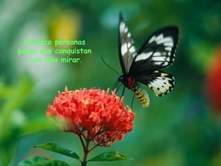 Conozco El Amor Conozco El Amor