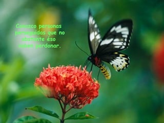 Conozco El Amor