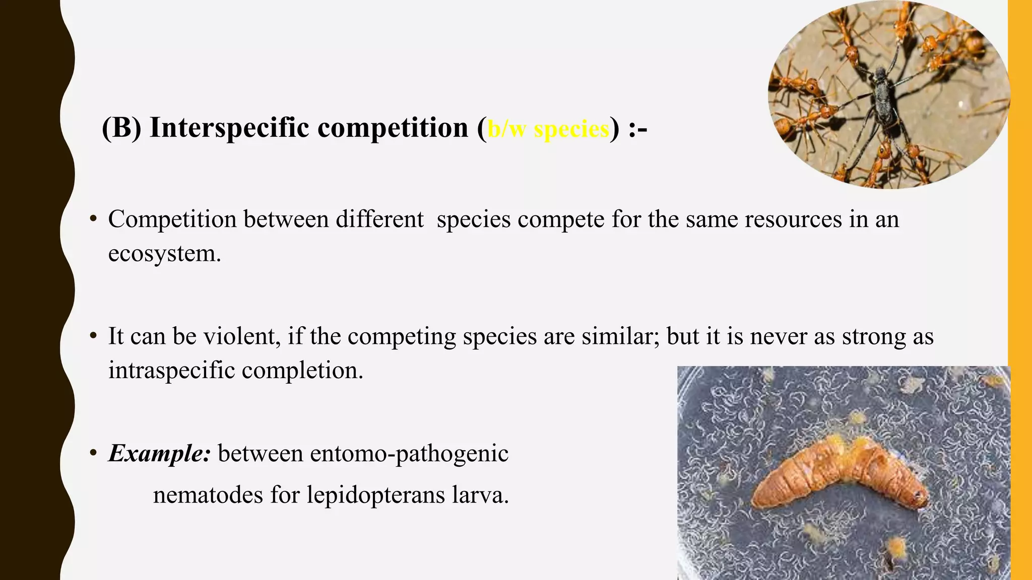 (B) Interspecific competition (b/w species) :-
• Competition between different species compete for the same resources in an
ecosystem.
• It can be violent, if the competing species are similar; but it is never as strong as
intraspecific completion.
• Example: between entomo-pathogenic
nematodes for lepidopterans larva.
 