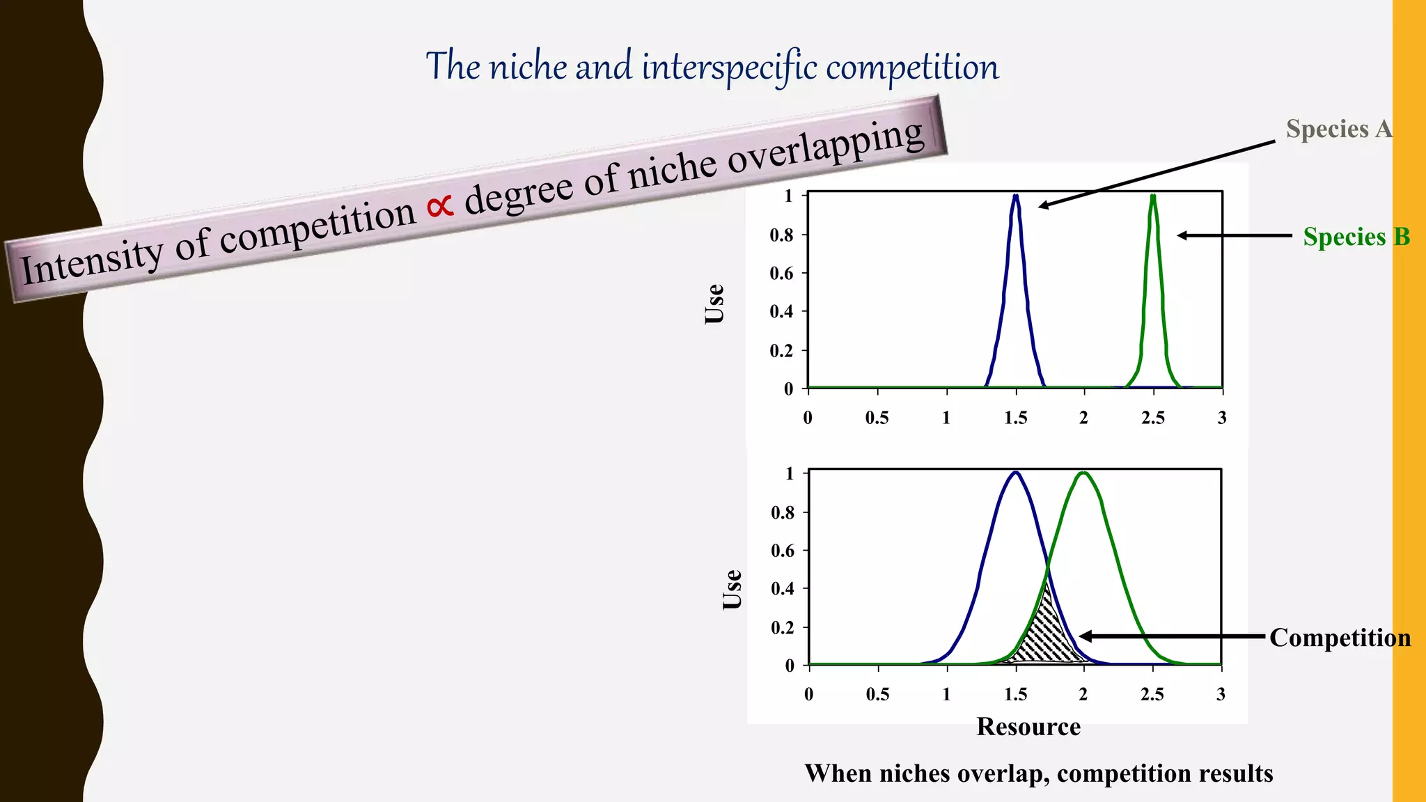 The niche and interspecific competition
0
0.2
0.4
0.6
0.8
1
0 0.5 1 1.5 2 2.5 3
0
0.2
0.4
0.6
0.8
1
0 0.5 1 1.5 2 2.5 3
ResourceUse
Use
Species A
Species B
Competition
When niches overlap, competition results
 