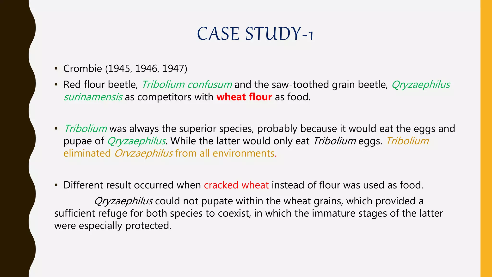 CASE STUDY-1
• Crombie (1945, 1946, 1947)
• Red flour beetle, Tribolium confusum and the saw-toothed grain beetle, Qryzaephilus
surinamensis as competitors with wheat flour as food.
• Tribolium was always the superior species, probably because it would eat the eggs and
pupae of Qryzaephilus. While the latter would only eat Tribolium eggs. Tribolium
eliminated Orvzaephilus from all environments.
• Different result occurred when cracked wheat instead of flour was used as food.
Qryzaephilus could not pupate within the wheat grains, which provided a
sufficient refuge for both species to coexist, in which the immature stages of the latter
were especially protected.
 
