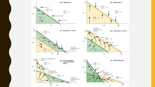 Competition intra and inter-specific | PPTX