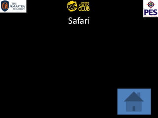 Safari
 