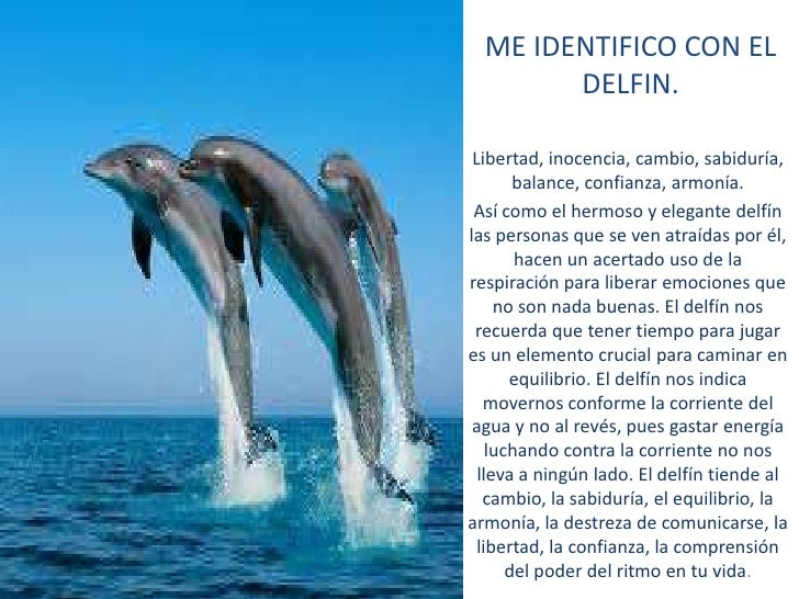 Con que animal me identifico.