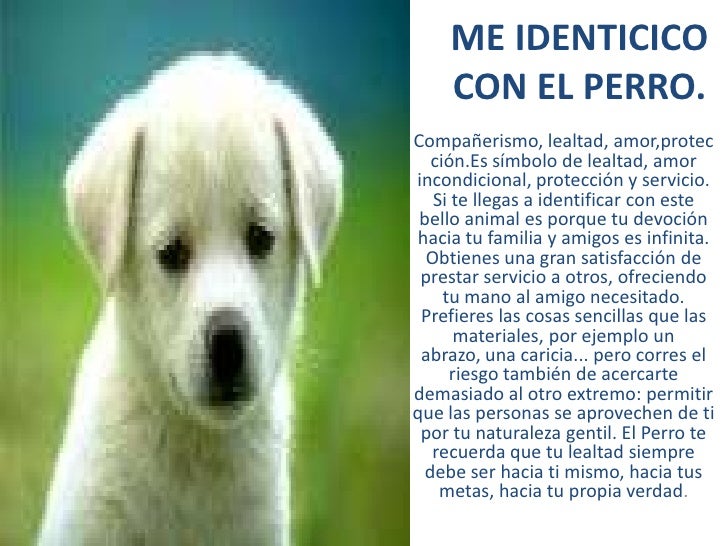 Con que animal me identifico.