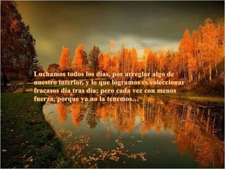 Con que limpiara el joven su camino