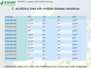 Conquering gene pools in pigeonpea