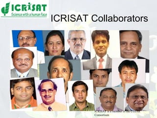 Conquering gene pools in pigeonpea