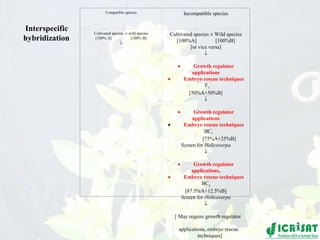 Conquering gene pools in pigeonpea