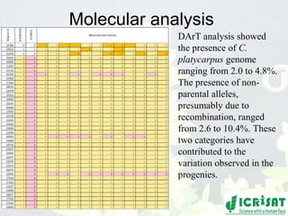 Conquering gene pools in pigeonpea
