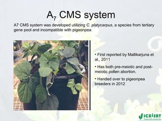 Conquering gene pools in pigeonpea