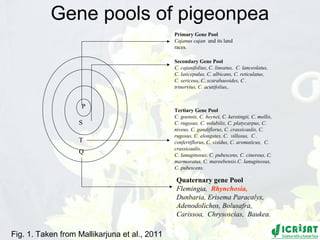 Conquering gene pools in pigeonpea