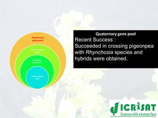 Conquering gene pools in pigeonpea