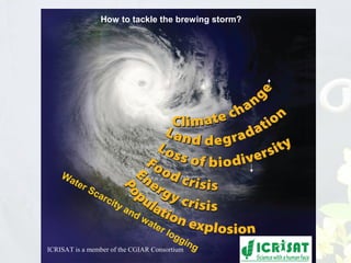 Conquering gene pools in pigeonpea