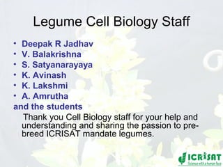 Conquering gene pools in pigeonpea