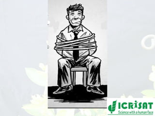 Conquering gene pools in pigeonpea