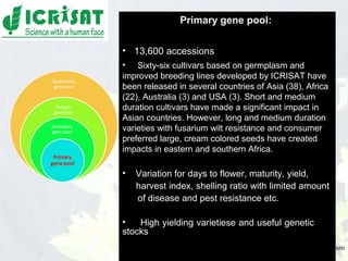 Conquering gene pools in pigeonpea