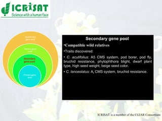 Conquering gene pools in pigeonpea