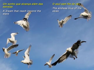 Um sonho que alcança além das   O azul sem fim do céu
estrelas
                                The endless blue of the
A dream that reach beyond the   skies
stars
 