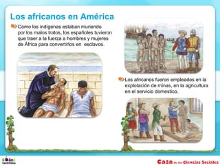 Como los indígenas estaban muriendo
por los malos tratos, los españoles tuvieron
que traer a la fuerza a hombres y mujeres
de África para convertirlos en esclavos.
Los africanos fueron empleados en la
explotación de minas, en la agricultura
en el servicio domestico.
Los africanos en América
 
