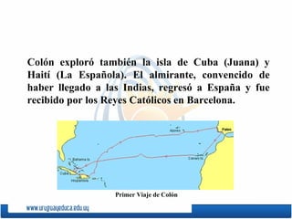 Colón exploró también la isla de Cuba (Juana) y Haití ( La Española ). El almirante, convencido de haber llegado a las Indias, regresó a Espa ñ a y fue recibido por los Reyes Católicos en Barcelona. Primer Viaje de Colón   