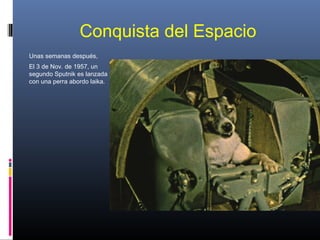 Conquista del Espacio
Unas semanas después,
El 3 de Nov. de 1957, un
segundo Sputnik es lanzada
con una perra abordo laika.
 