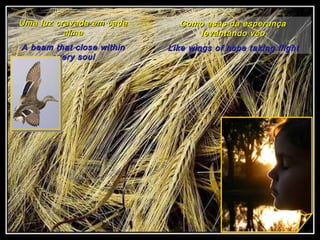 Uma luz cravada em cada alma A beam that close within every soul Como asas da esperança levantando vôo Like wings of hope taking flight 