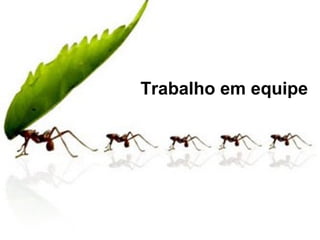 Trabalho em equipe
 
