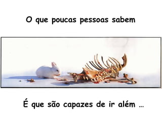 O que poucas pessoas sabem   É que são capazes de ir além … 